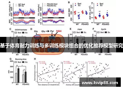 基于体育耐力训练与多训练模块组合的优化推荐模型研究