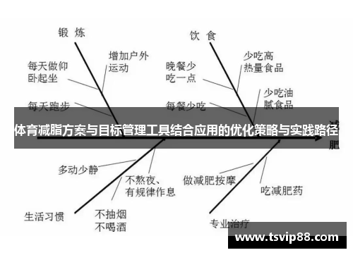 体育减脂方案与目标管理工具结合应用的优化策略与实践路径